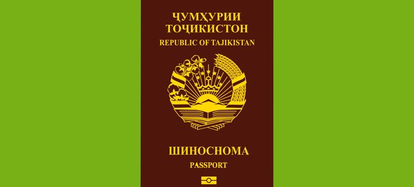 Итоги миграционного контроля в Канске: 29 иностранных граждан выдворены из России