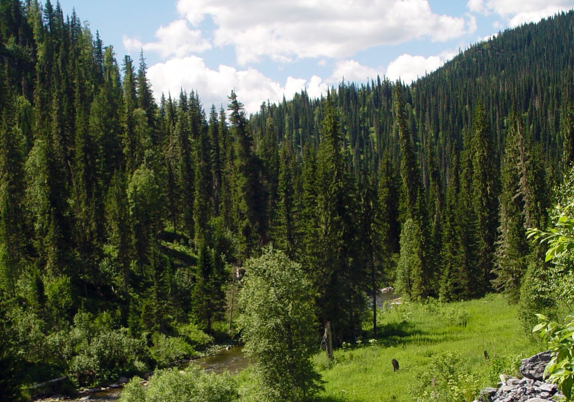 Экспортёры Красноярского края заключили международные контракты на 4 млрд рублей