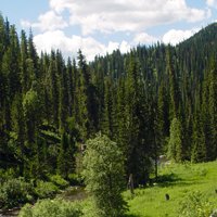 Красноярские компании подписали экспортные договоры на сумму 4 млрд рублей