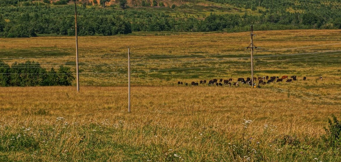 В Канском районе произошла смертельная авария с участием пешехода