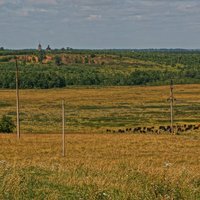 ДТП с погибшим пешеходом в Канском районе