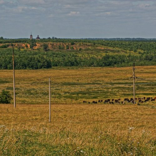 ДТП с погибшим пешеходом в Канском районе